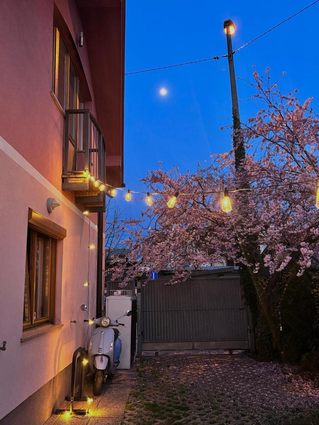Buzahouse Vandrerhjem Ljubljana Eksteriør bilde